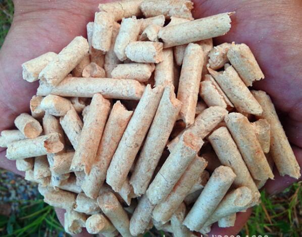 生物質(zhì)燃料顆粒機設(shè)備